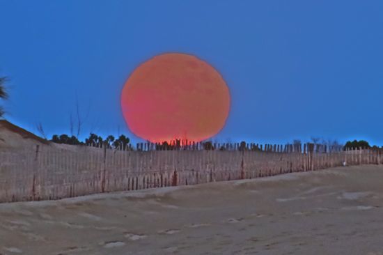 A1150068-On a marché sur la Lune !