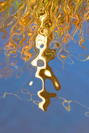 B1078139-La belle rousse !