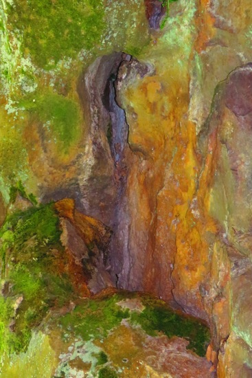 B5109246-Les couleurs de Renoir !