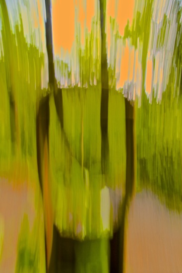 D5120204-Peinture au couteau