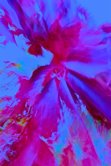DA205873'-Le Big Bang