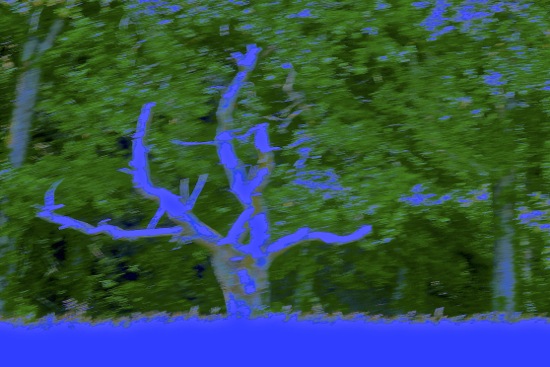 E5108299'-Sur un arbre 