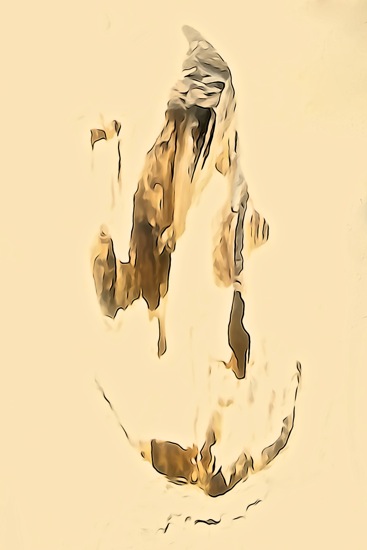 F1249432-Chamanisme