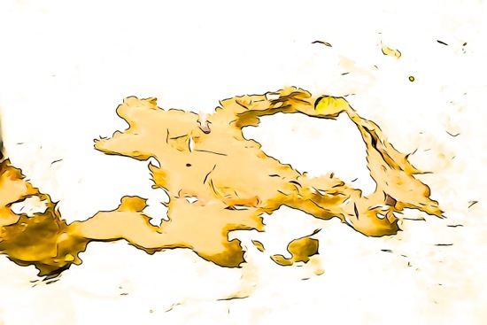F2080050-L'Europe éclatée !