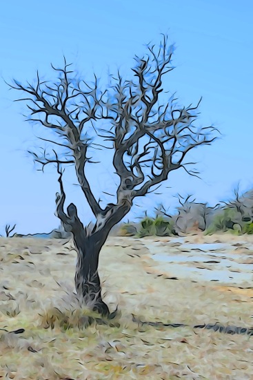 F2243073-La Ste Baume