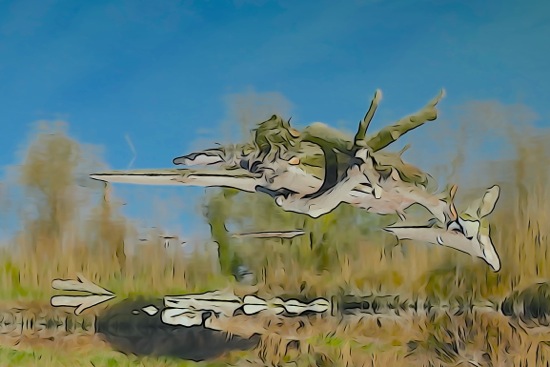 F2273655-Jet !