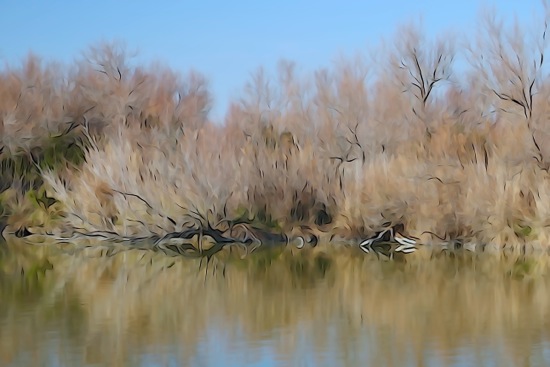 F2273745-Camargue en Provence