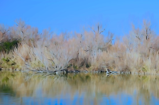 F2273749-Camargue en Provence