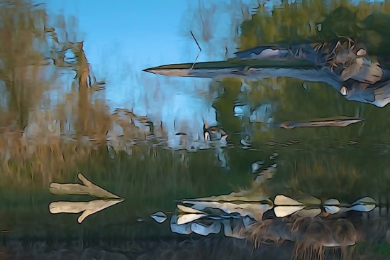 F2274020-Contresens