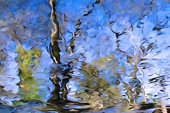 F3024149-Reflet artistique !