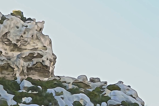 F3155270-Le chat...