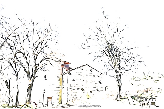 F4147831TR-Château du Mazonric