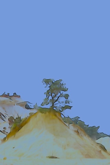 F4188117-Dune