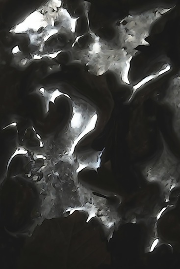 F4188195-Vision nocturne