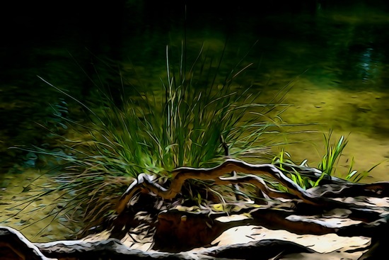 F4268928-Lignes et courbes...