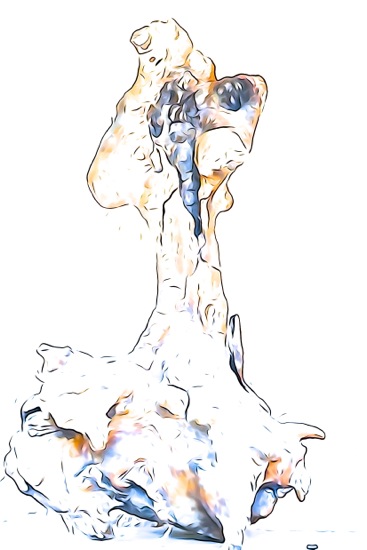 F5219643-Bailaora