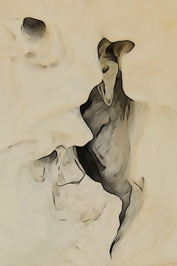 F5219706-Souris danse