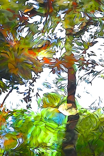 F5250856-Tropical
