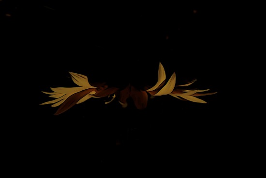 F7062799-2-Papillon