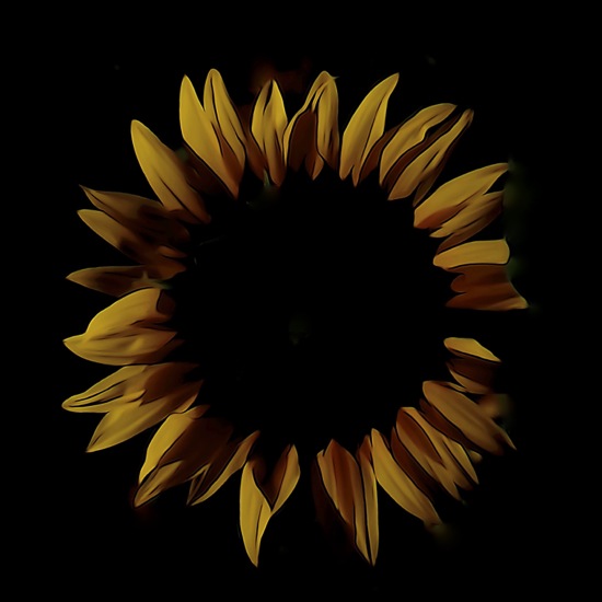 F7062951'-Soleil de minuit
