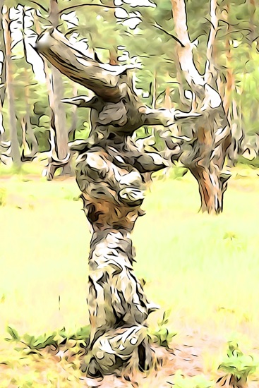 F8125690-Pinocchio