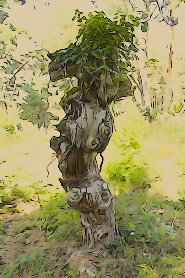 F8125842-Coiffe naturelle