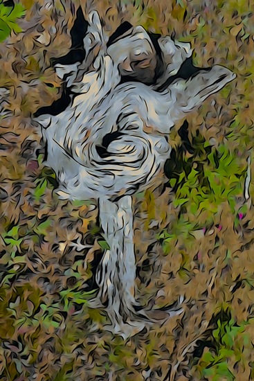 F8146511-Buste sculpté