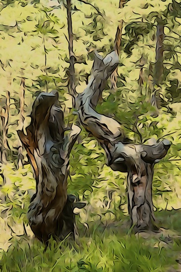 F8146583-Conversation