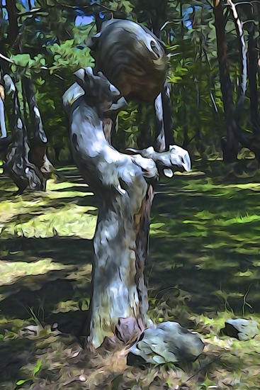 F8146647-Monacal