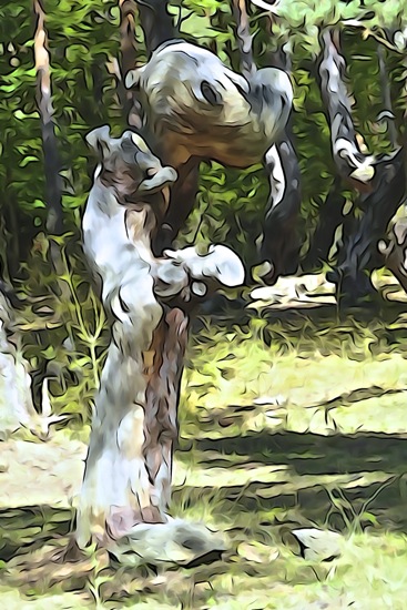 F8146656-Popeye