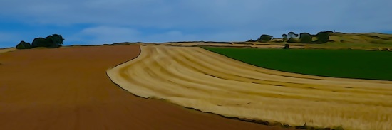 F8168133-Après la moisson