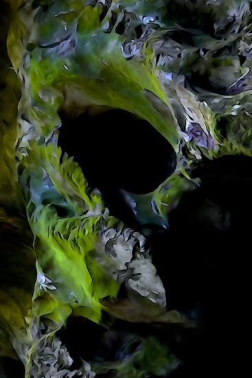F8258597-L'oreille du Diable vert