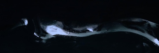 F8309901-Venu des abysses