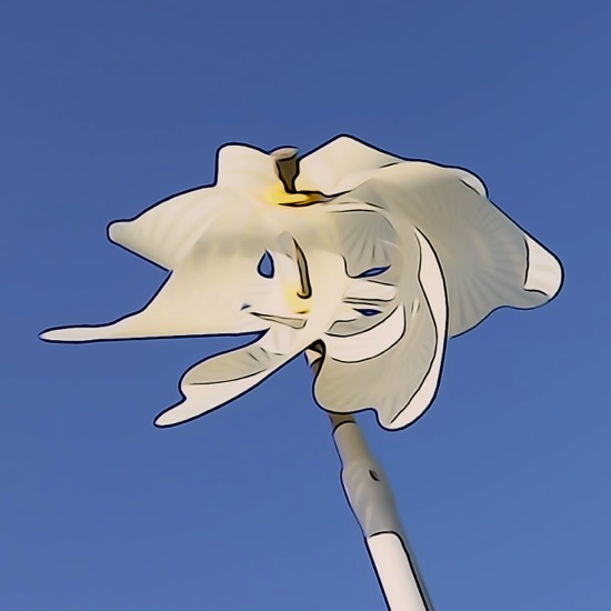 F9150675-Volage aux yeux bleus !