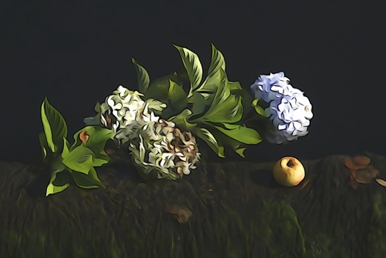 F9150692-Nature morte