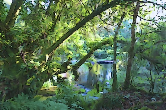 F9150716-La rivière des Druides...