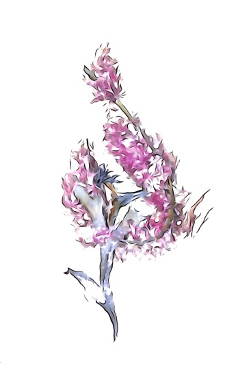 F9161087N-Rosier sauvage