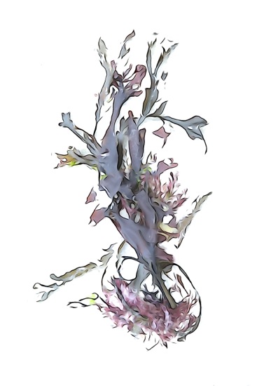 F9161090-Enlacés