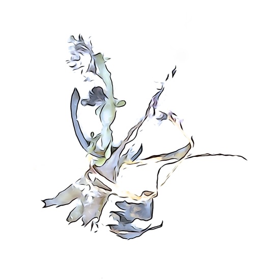 F9161139'-Danseuse énigmatique !