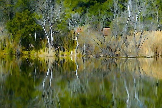 G2280887-Au bord du lac