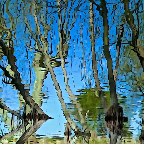 G3071722-Reflets