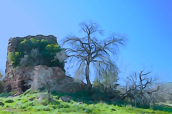 G3111965-La nature reprend ses droits !