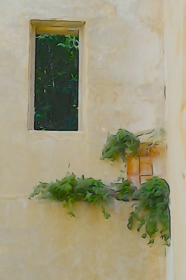 G3122266-Plantes vertes