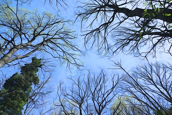 G3122359-Paradis bleu
