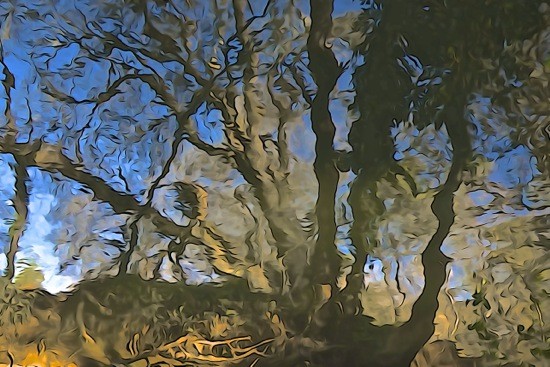 G3143090-Reflets