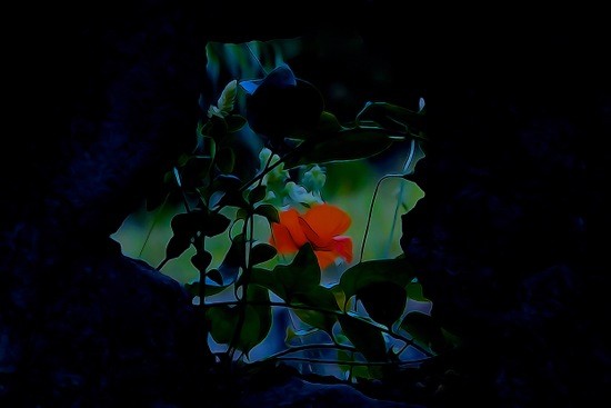 G5295052-Fenêtre de l'Ame