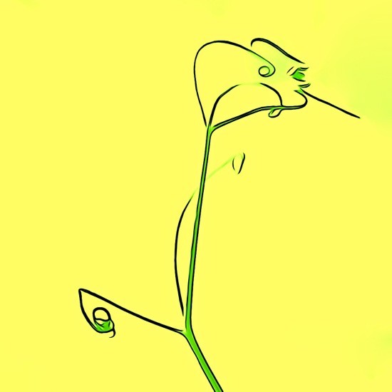 G6035165-Graphisme