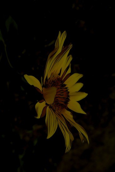 G7040094-Soleil de minuit