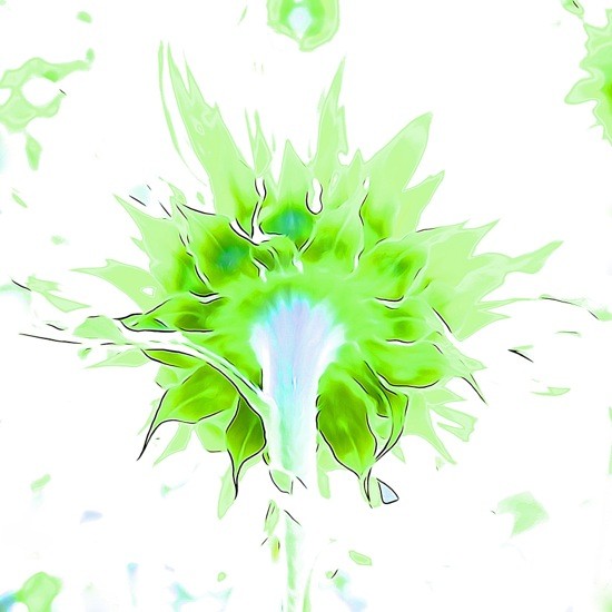 G7040201-Splash !
