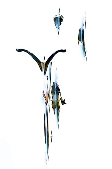 G7150751-Voltige